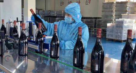 好品山東|青島西海岸新區(qū):著力做強精深加工 加快藍莓全產業(yè)鏈發(fā)展