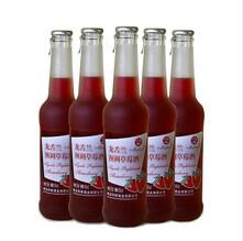 青島瑪麗龍舌蘭與藍(lán)莓酒 批發(fā)價(jià)格、廠家及市場概況