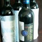 北極泉高山藍莓酒 源自大興安嶺的野生精華，青島匠心釀造的琥珀佳釀