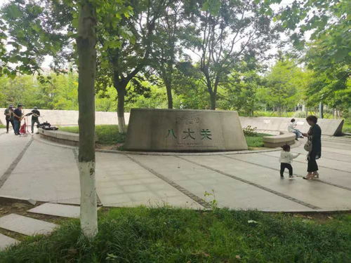 青島一日 海風(fēng)、親人、藍(lán)莓酒香